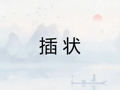 插状