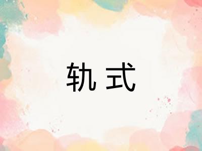 轨式