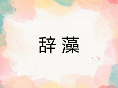 辞藻