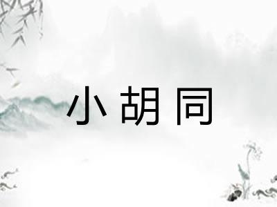 小胡同