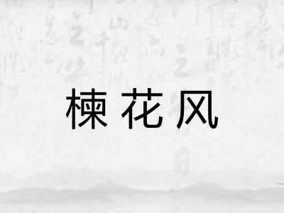 楝花风