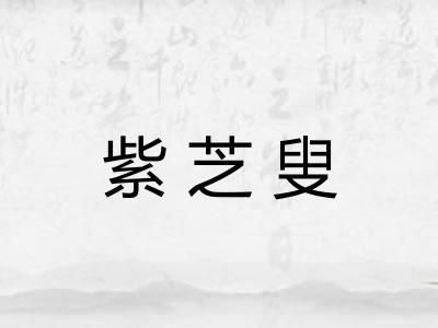 紫芝叟