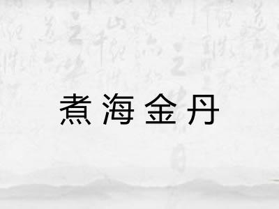 煮海金丹