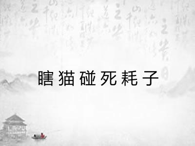 瞎猫碰死耗子