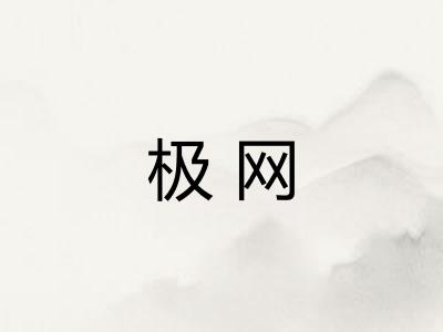 极网