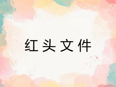 红头文件