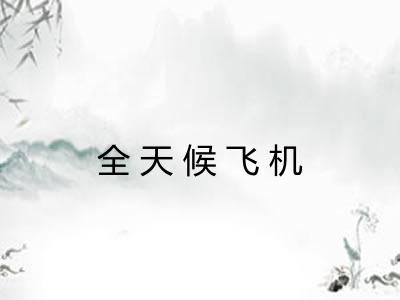 全天候飞机