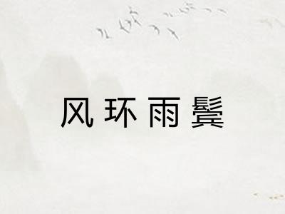 风环雨鬓