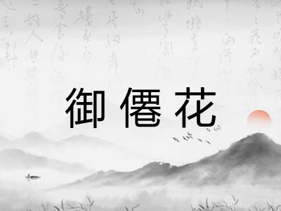 御僊花