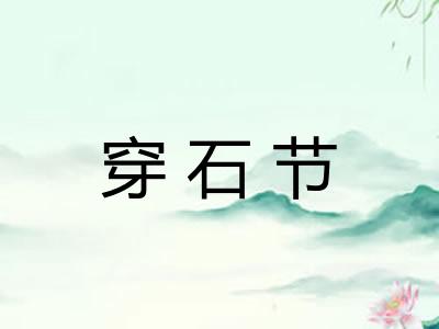 穿石节