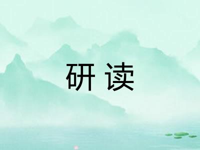 研读