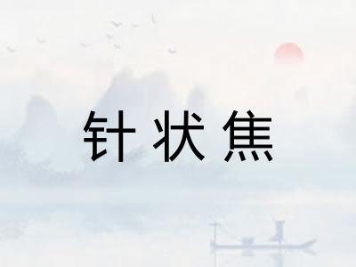 针状焦