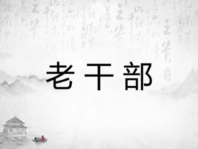 老干部