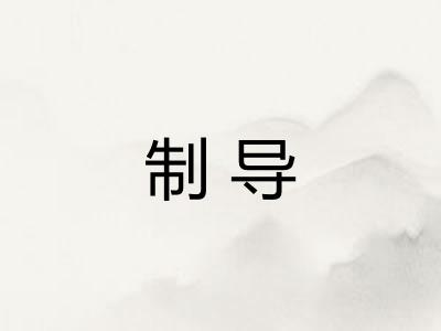 制导