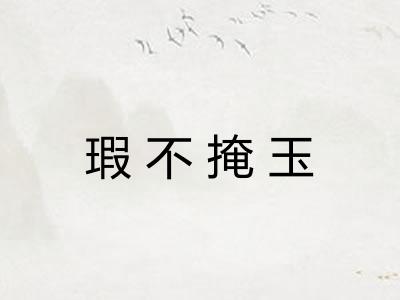 瑕不掩玉