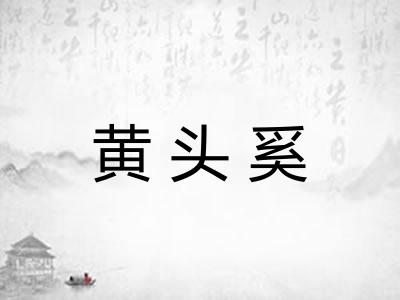 黄头奚
