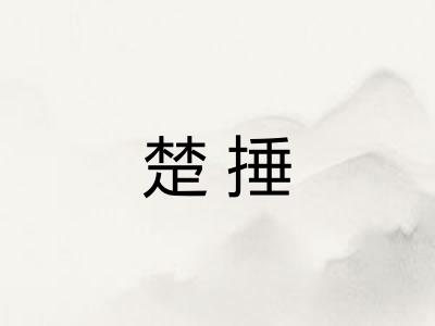 楚捶