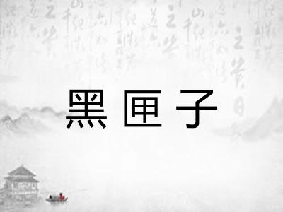 黑匣子
