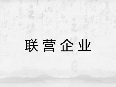 联营企业