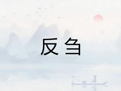 反刍