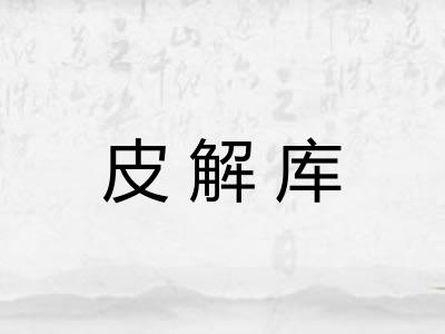 皮解库