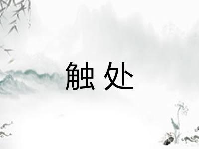 触处