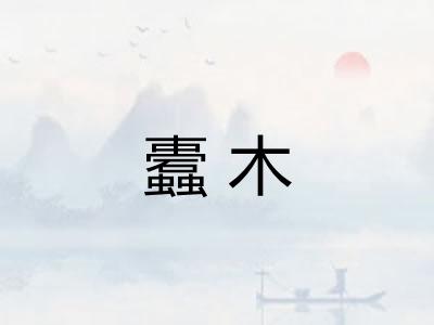 蠹木