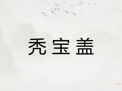 秃宝盖