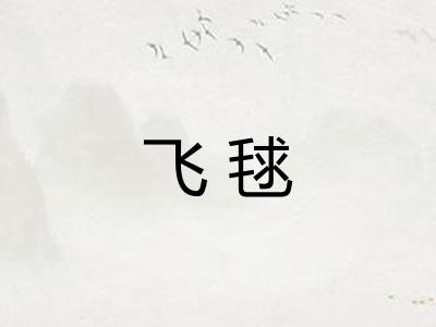 飞毬
