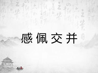 感佩交并