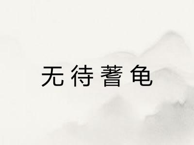 无待蓍龟