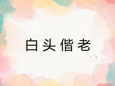 白头偕老