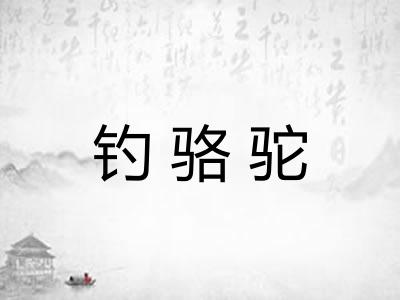 钓骆驼