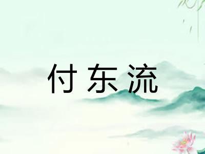 付东流