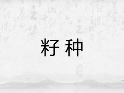 籽种