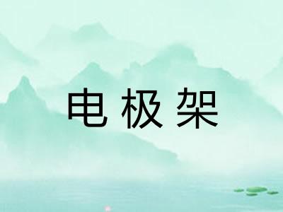 电极架