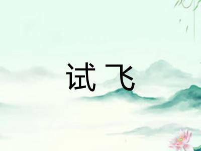 试飞