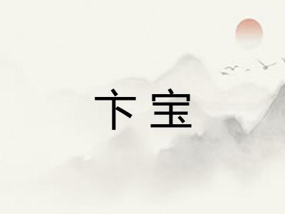 卞宝