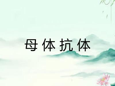 母体抗体