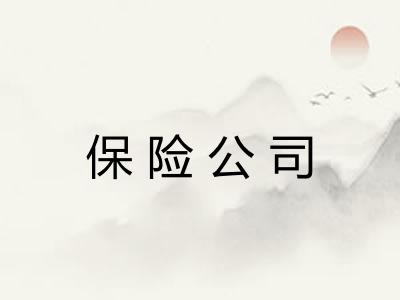 保险公司