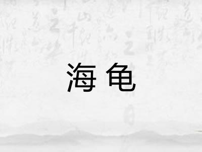 海龟