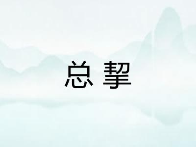 总挈