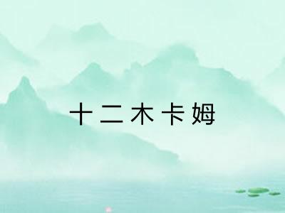 十二木卡姆