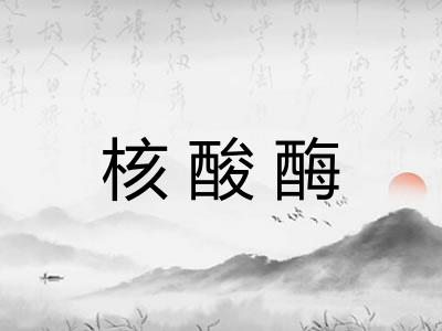 核酸酶