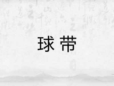 球带