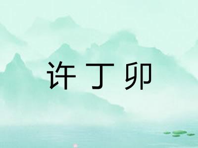许丁卯