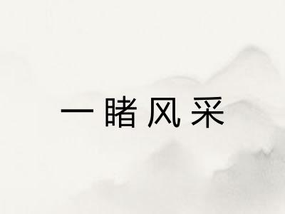 一睹风采
