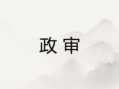 政审