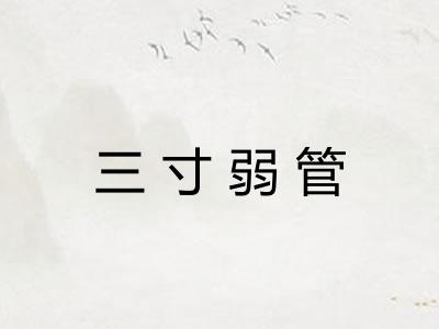 三寸弱管