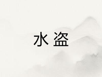 水盗